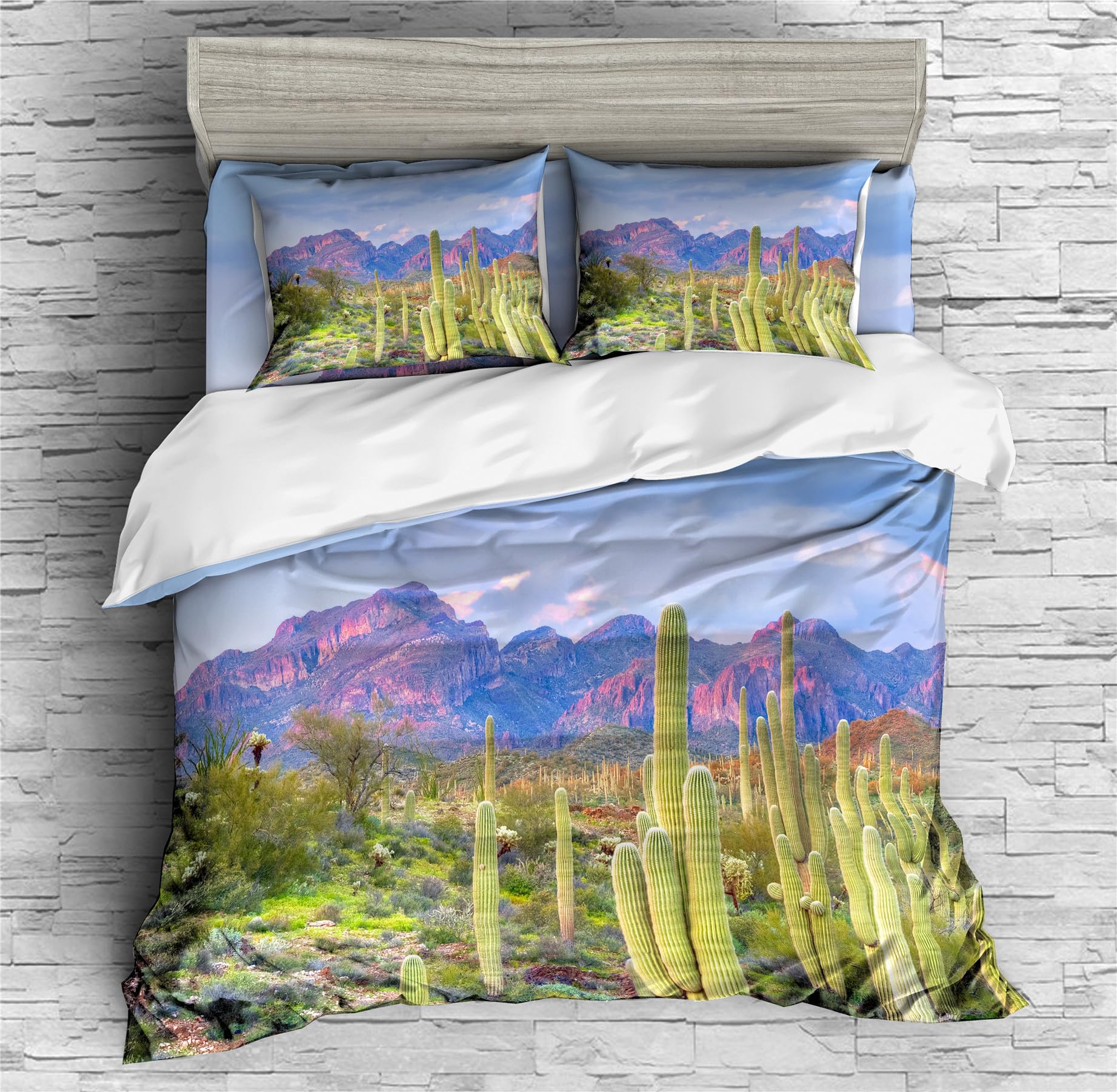 REALIN Cactus Duvet Cover Set Scrub and Cactus Succulent Plant Bedding Girl Boy Kids Bed Sets 2/3/4PCS Quilt Covers/Sheets/Pillow Shams,Twin/Full/Queen/King (C,Queen-228x228cm-3PCS)