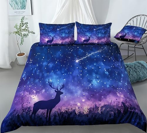 REALIN Hand-Painted Starry Sky Starry Night Bedding Galaxy Themed Duvet Cover Set Girl Boy Kids Bed Sets 3/4PCS Quilt Covers/Sheets/Pillow Shams,Twin/Full/Queen/King (B,Queen-228x228cm-3PCS)